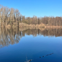 23-02-13 14-37-20 4230